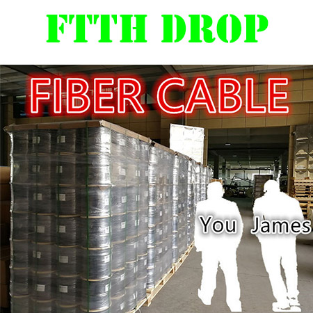 Fábrica 2 del cable de fibra óptica del descenso de FTTH chino de la comunicación de ZION