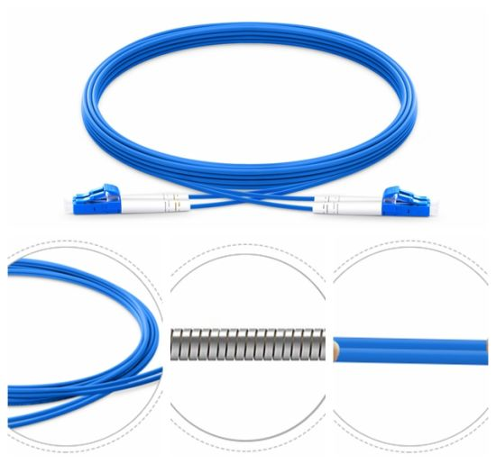 Latiguillo de fibra blindada