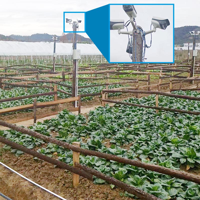 videovigilancia instalada para facilitar la gesti&oacute;n de las plantas